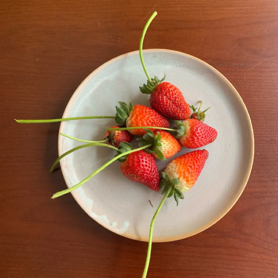 creation thumb for Fresh food always