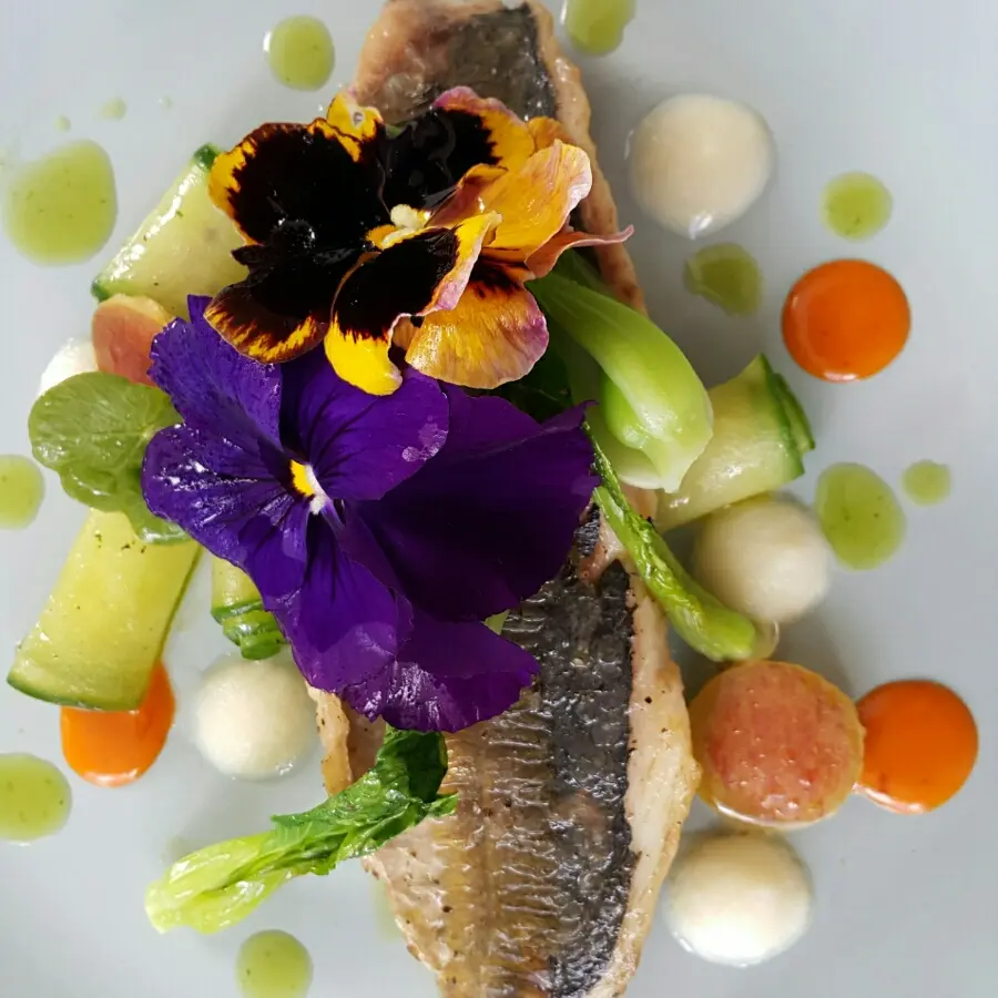 creation thumb for Pan seard mackeral, cucumber, pok choy with cilantro oil