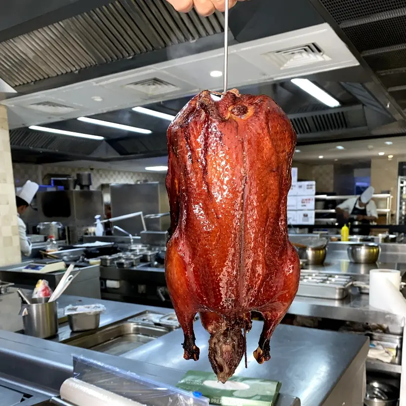 creation thumb for Peaking duck in progress...