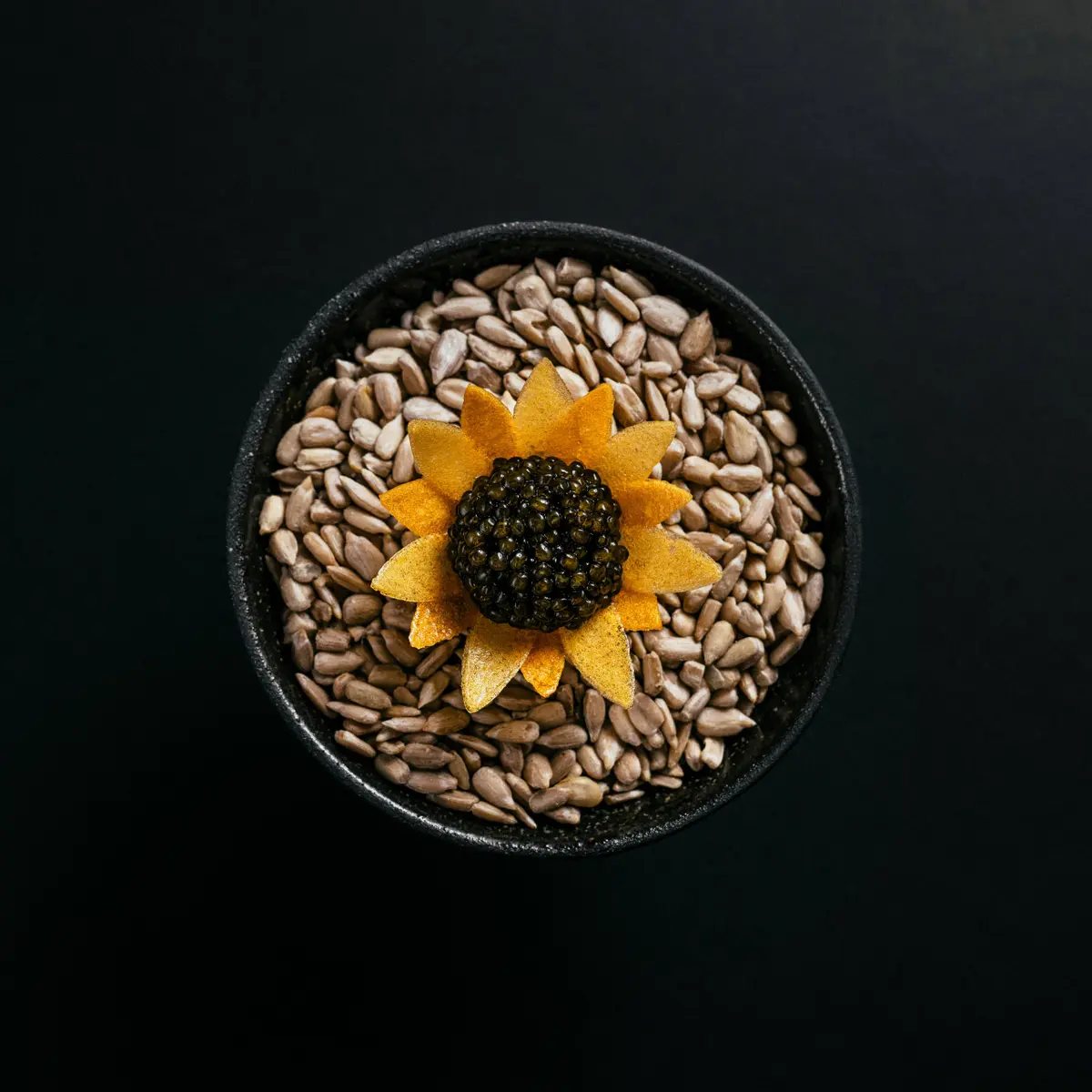 creation thumb for Sunflower
