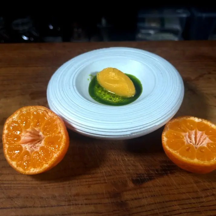 creation thumb for Tangerine Sorbet | Elderflower Balsamic Vinegar Sauce