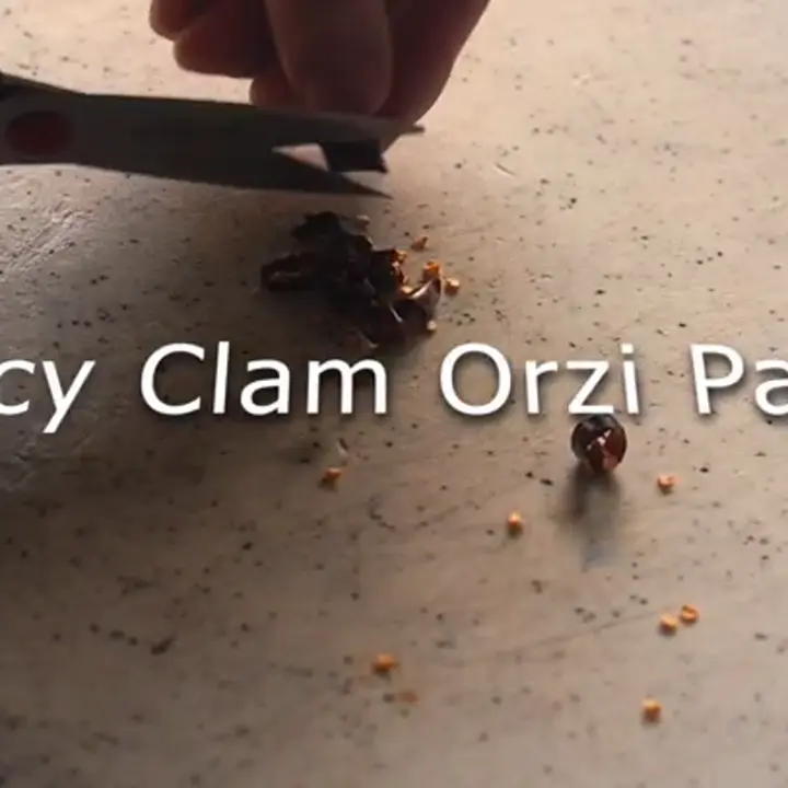 creation thumb for Clam orzi