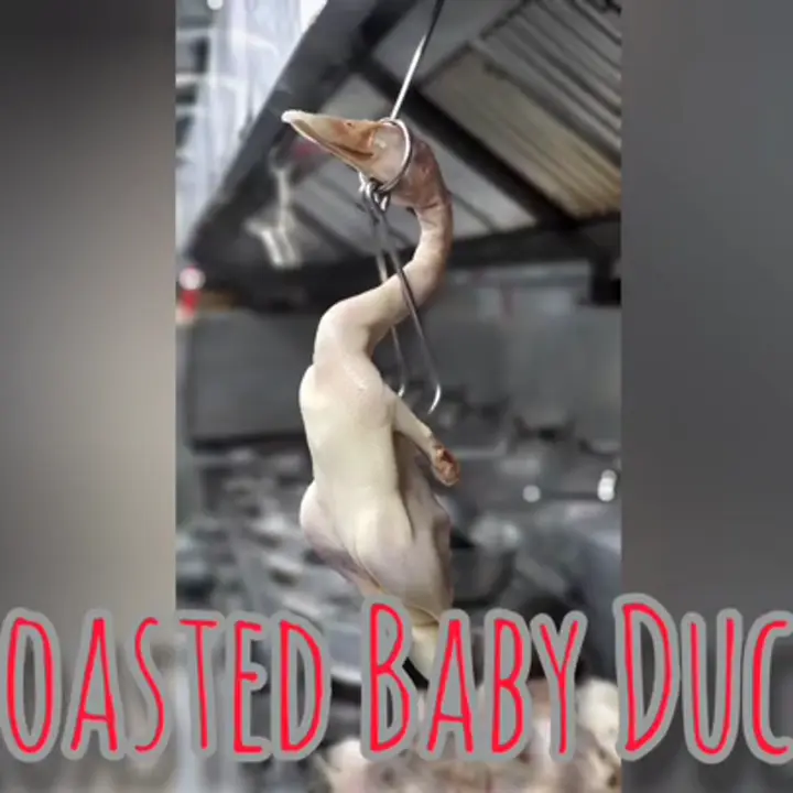 creation thumb for Give this 10 packs baby duck a sugar coat!