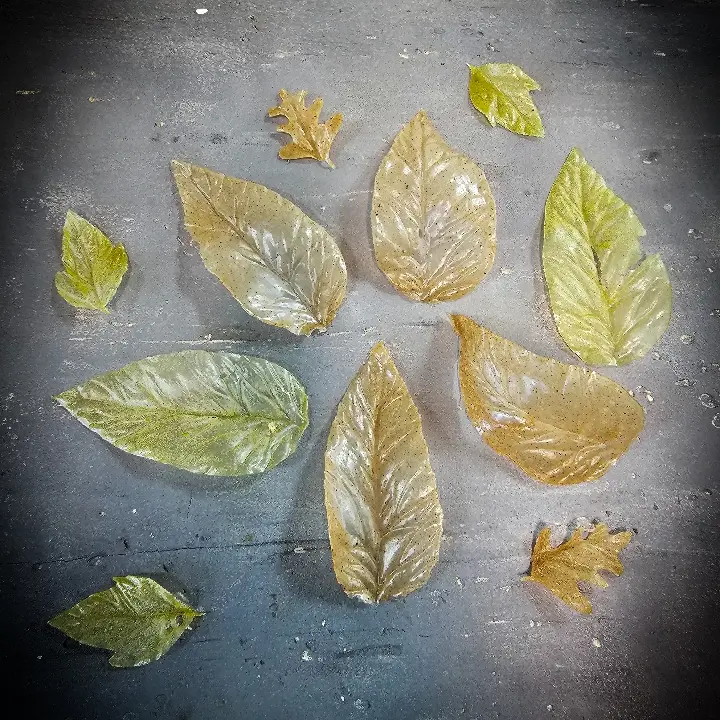creation thumb for Dried fruit leaves