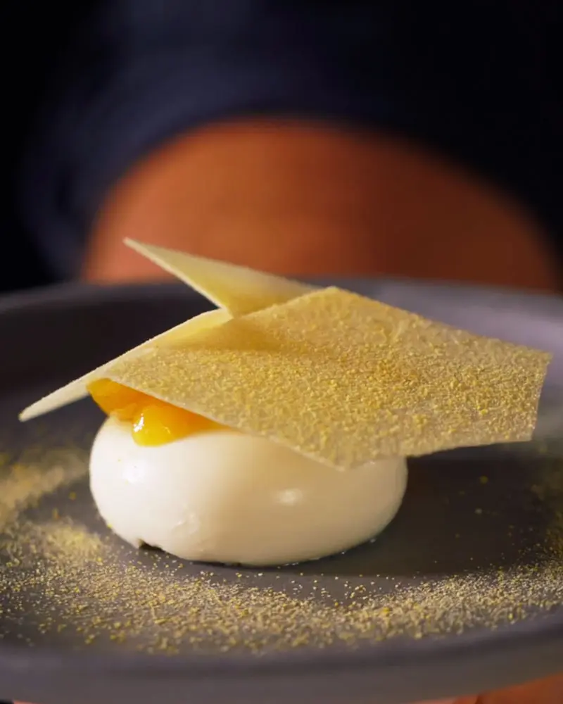 creation thumb for #3 Yogurt Cracker