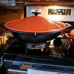 Electric wok