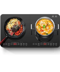 Aobosi double induction hob