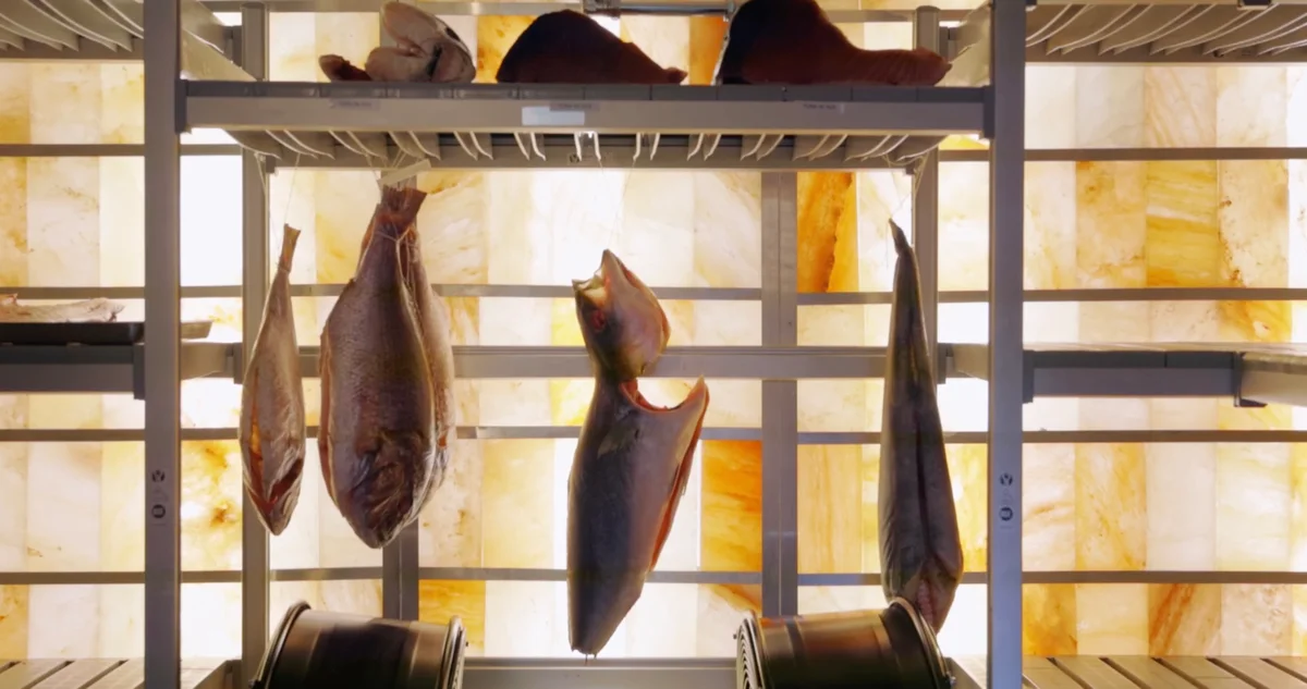 Mastering Raw Fish through Salt-Aging